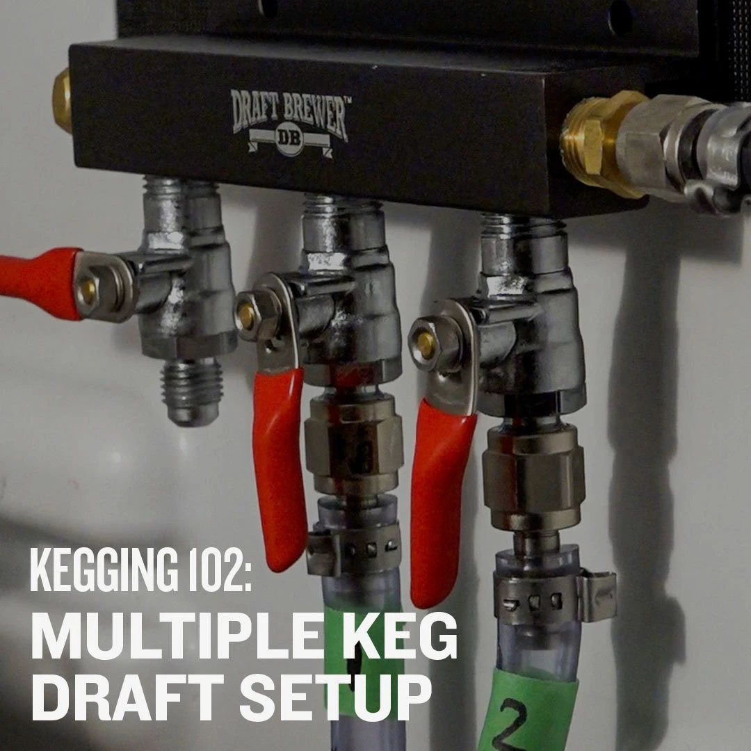 Kegging 102: Multiple Keg Draft Setup - Video Course 1 Kegging 102: Multiple Keg Draft Setup - Video Course