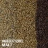 Ingredient Series: Malt - Video Course