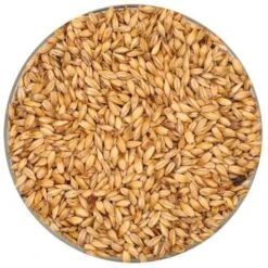 Belgian Cara 8 Pils Malt - Dingemans - 55 Lb. Sack