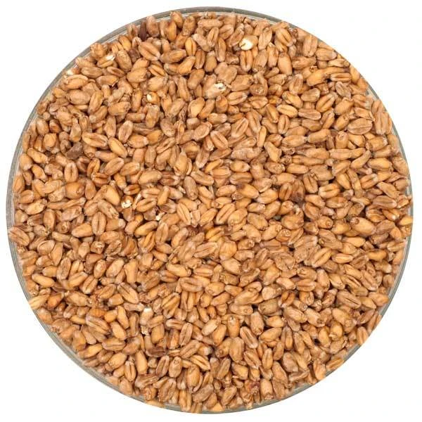 German Pale Wheat Malt - Weyermann® - 55 Lb. Sack 1 German Pale Wheat Malt - Weyermann® - 55 Lb. Sack