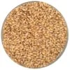 2-Row Malt - Rahr - 55 Lb. Sack