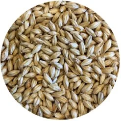 Vanora (Vienna-style) Malt - Mecca Grade
