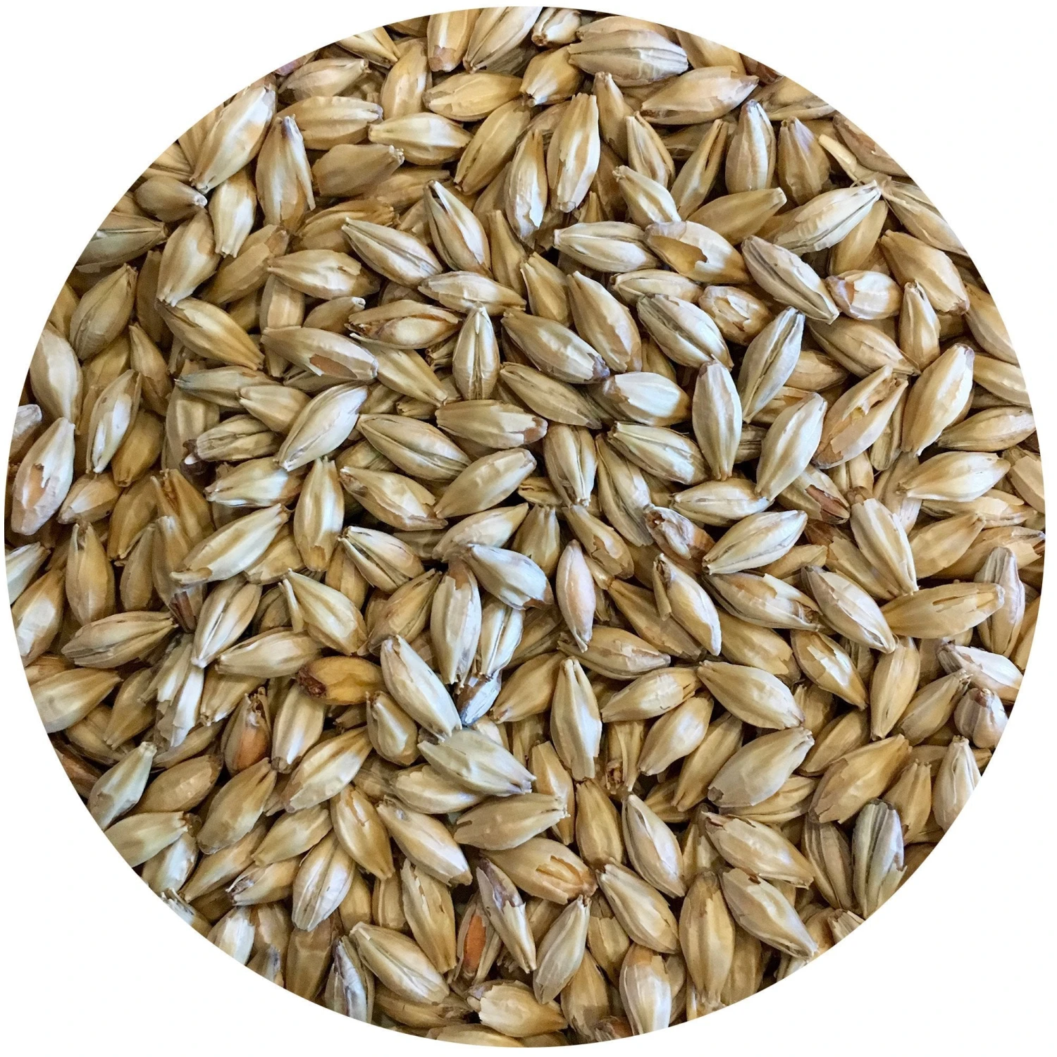 Vanora (Vienna-style) Malt - Mecca Grade 1 Vanora (Vienna-style) Malt - Mecca Grade