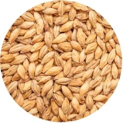 German Red X® Malt (Munich Malt) - Best Malz - 55 Lb. Sack