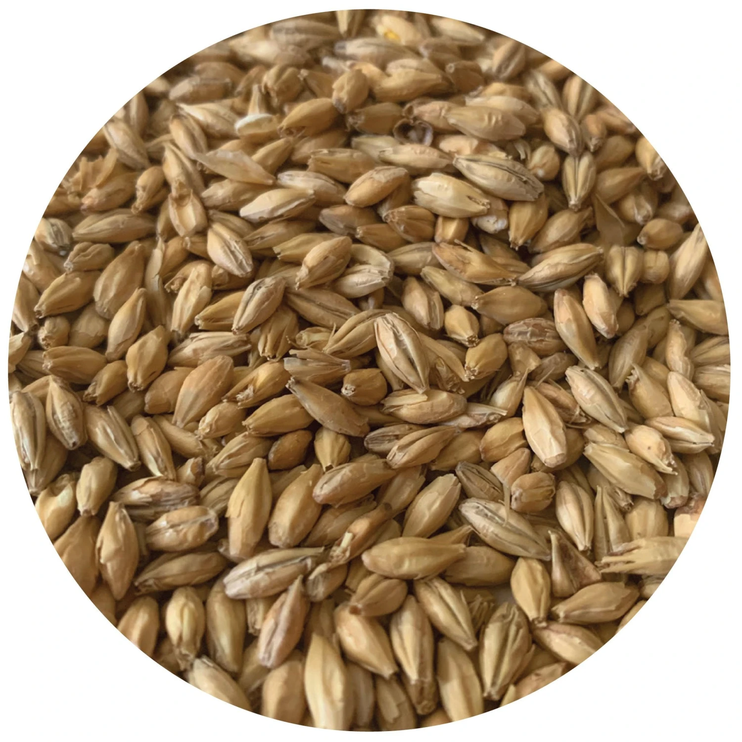 North Star Pils - Rahr - 55 Lb. Sack 1 North Star Pils - Rahr - 55 Lb. Sack