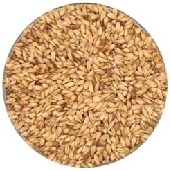 Caramel 10L Malt - Briess - 50 Lb. Sack