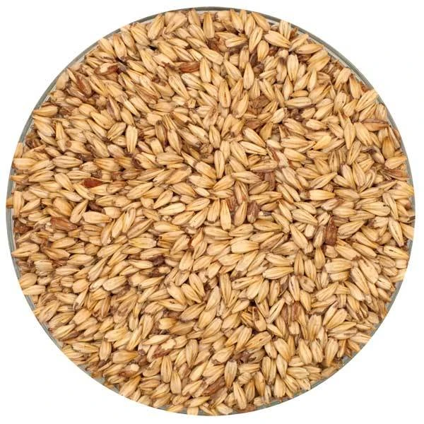 Caramel 10L Malt - Briess - 50 Lb. Sack 1 Caramel 10L Malt - Briess - 50 Lb. Sack