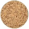 Carapils Malt - Briess - 50 Lb. Sack