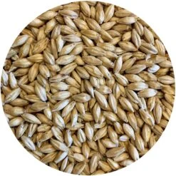 Gateway (Under-Modified Wind-Malt) - Mecca Grade