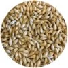 Pelton (Pilsner-style) Malt - Mecca Grade