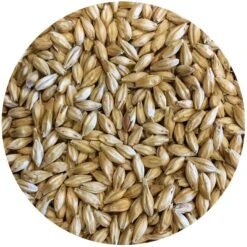 Pelton (Pilsner-style) Malt - Mecca Grade