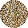 Shaniko (White Winter Wheat) Malt - Mecca Grade