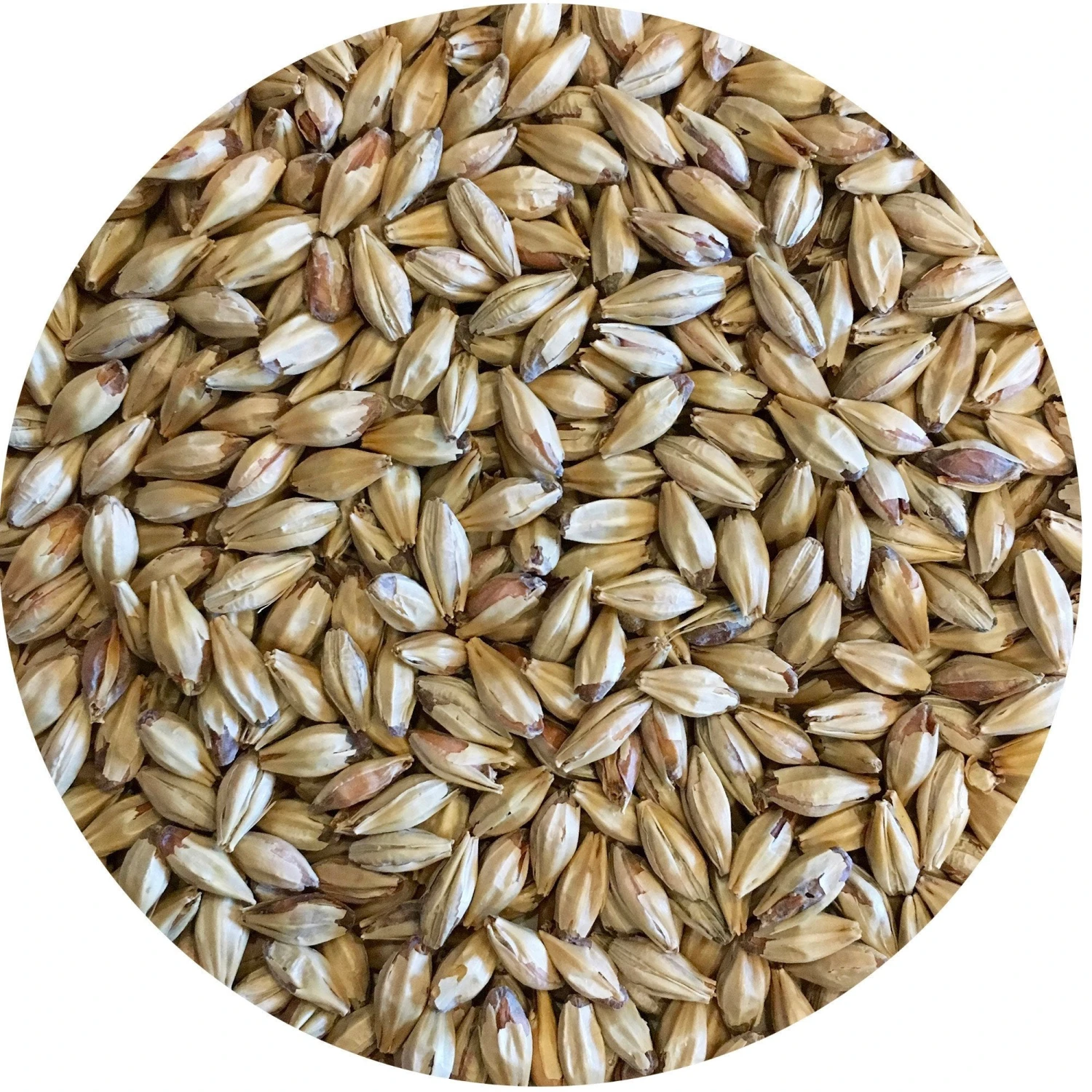 Opal 44 (Caramelized, Toffee) Malt - Mecca Grade 1 Opal 44 (Caramelized, Toffee) Malt - Mecca Grade