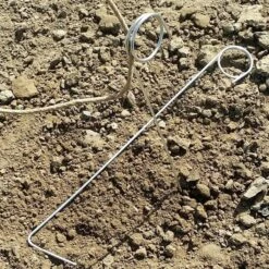 IPA Hop Rhizomes Grow Kit - Pre-order For 2024 Season 12 IPA Hop Rhizomes Grow Kit - Pre-order For 2024 Season -Liquor Discount Store hop clips x700 fd062d8c aa7b 4bee 99f3 7a7cad401809