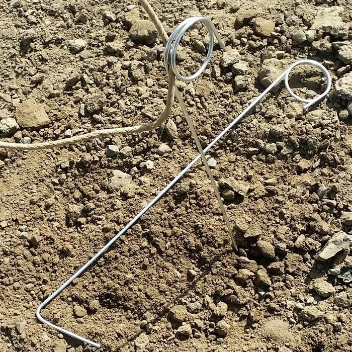 IPA Hop Rhizomes Grow Kit - Pre-order For 2024 Season 4 IPA Hop Rhizomes Grow Kit - Pre-order For 2024 Season - Image 4