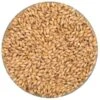 Irish Distiller's Malt - Malting Co. Of Ireland - 55 Lb. Sack