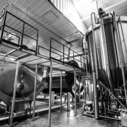 Munich 10 Malt - Root Shoot Malting - 50 Lb. Sack -Liquor Discount Store root shoot malting 8 x700 84d8c7bf 595c 4949 897e f202b085069d