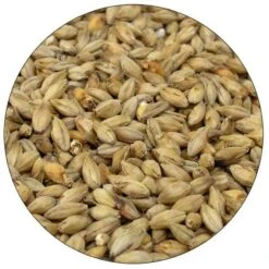 Munich 10 Malt - Root Shoot Malting - 50 Lb. Sack
