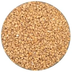 White Wheat Malt - Rahr - 55 Lb. Sack