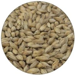 English Floor Malted Maris Otter Malt - Warminster - 55 Lb. Sack